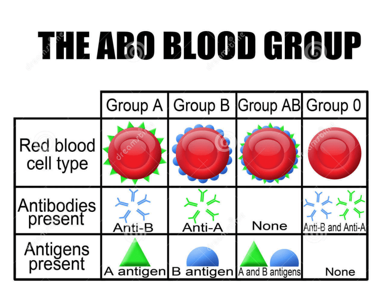 blood_types
